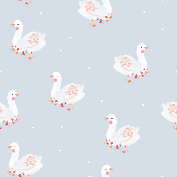 Cygne