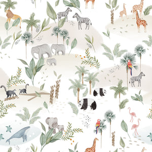 Safari