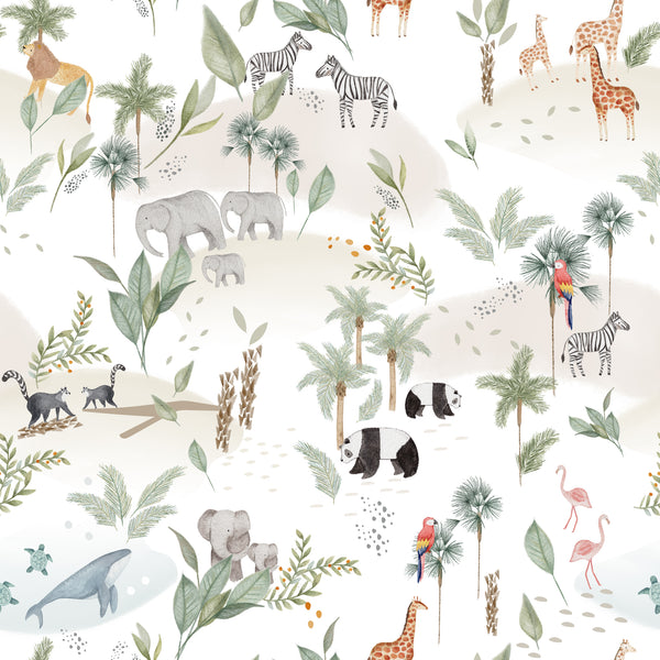 Safari